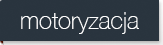 Najwi�kszy wyb�r cz�ci do samochod�w.